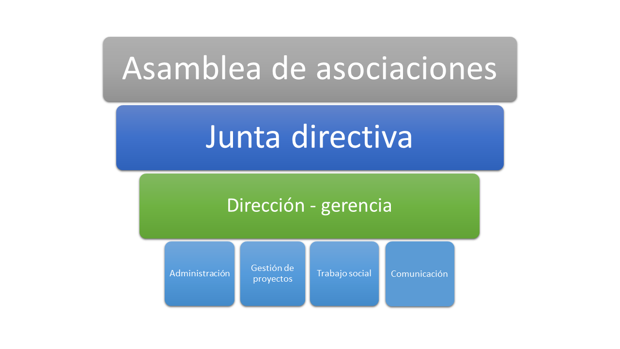 Organigrama